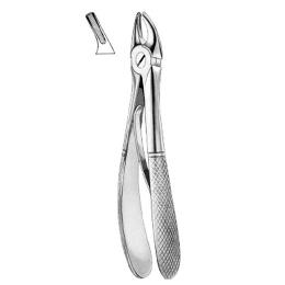 Upper Premolars