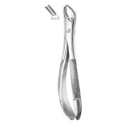 Left Upper Molars