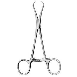 Lewin Holding Forceps